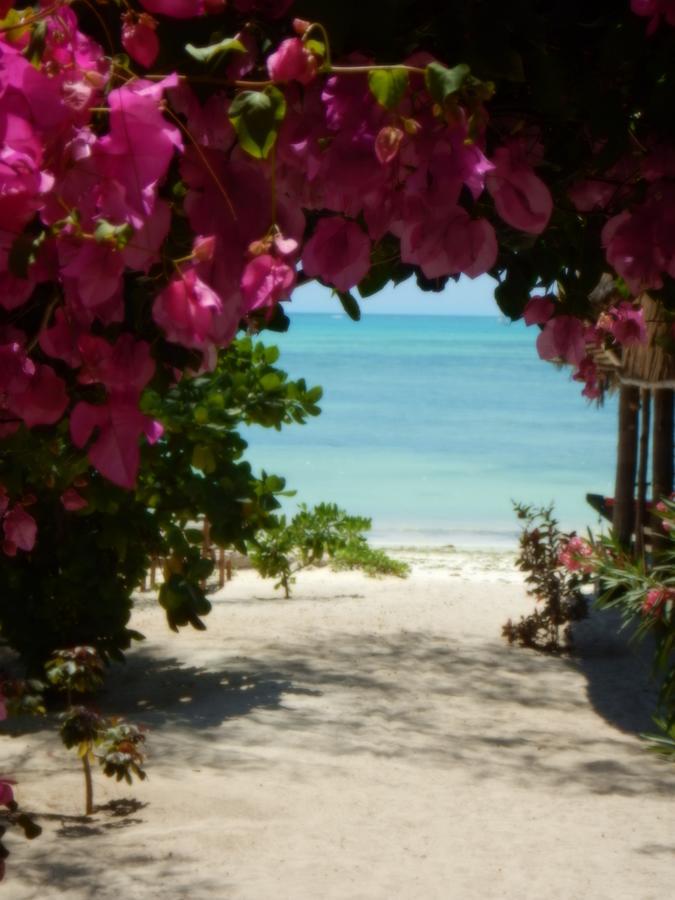 Changu Beach Resort 江比阿 外观 照片